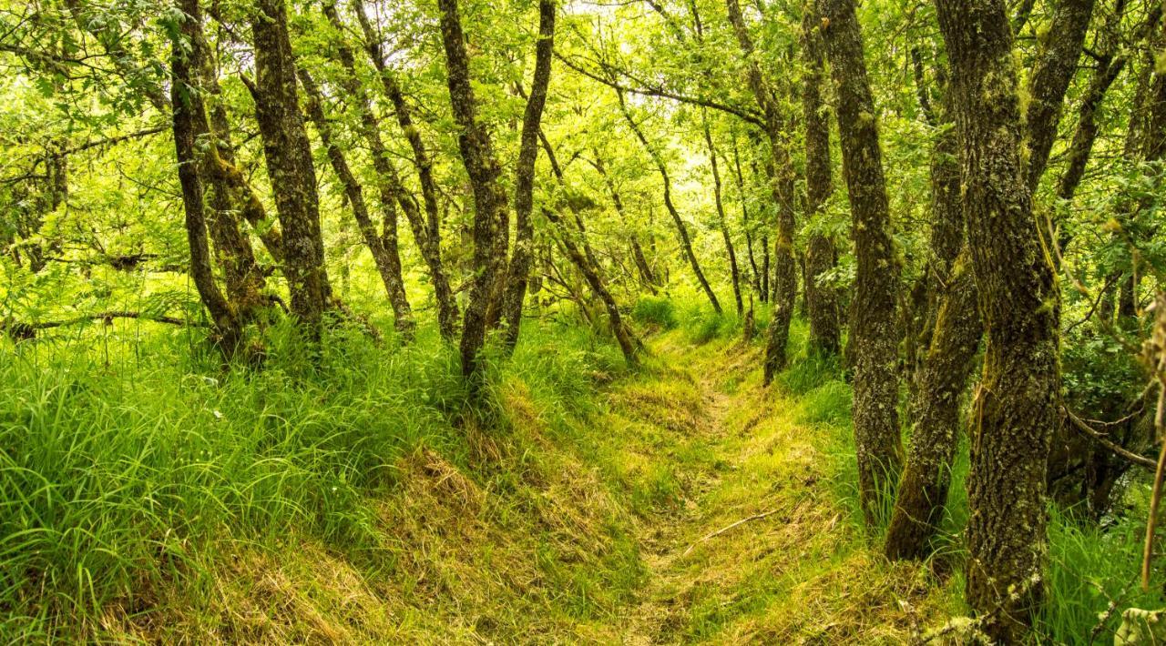 Boticas Parque Natur Houses Ngoại thất bức ảnh