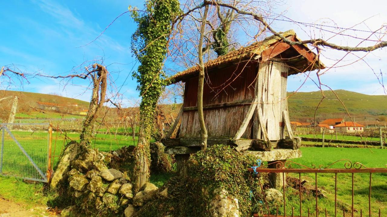Boticas Parque Natur Houses Ngoại thất bức ảnh